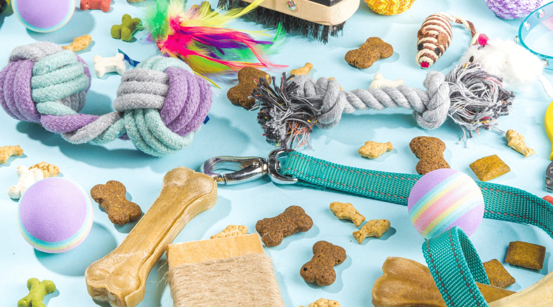 Pet Supplies Trends in 2025: What’s Hot in the Pet World