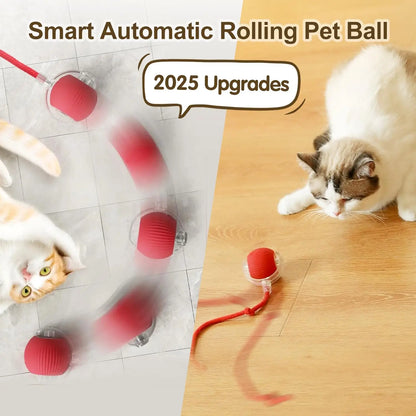 Smart Cat Interactive Ball Toy