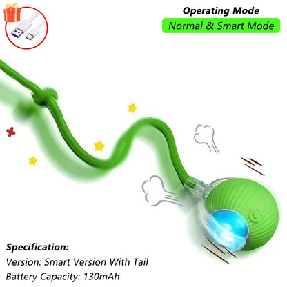 Smart Cat Interactive Ball Toy