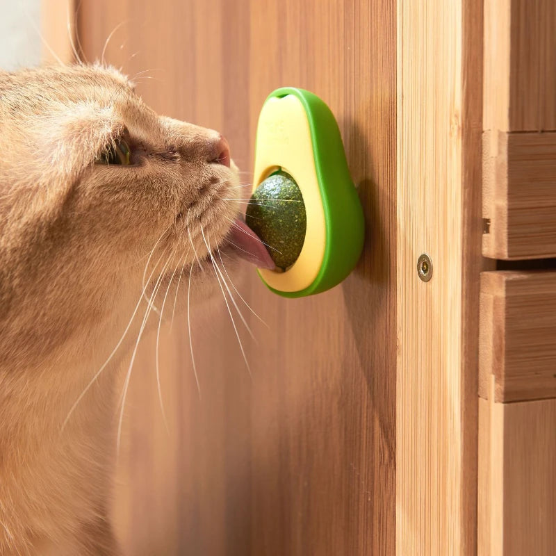 Rotatable Catnip Wall Ball Toy