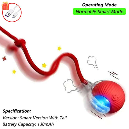 Smart Cat Interactive Ball Toy